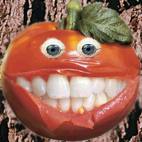 Tomate