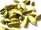 Cardamome