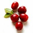 Cranberry