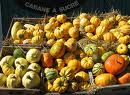 Montagne de courges