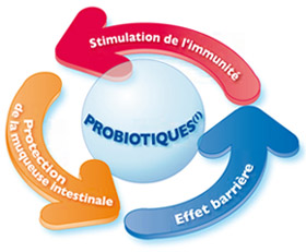 Probiotiques